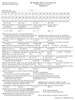 ĐÊ THI HKII VẬT LÍ 10CB