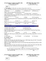 Đề - HD chấm thi học kỳ 2 môn tin 10 (2010-2011)