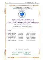 Tiểu luận lập kế hoạch kinh doanh công ty cổ phần cơ điện Mỹ Nhật Việt