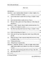 luận văn quản trị chiến lược Phương hướng và biện pháp phát triển của công ty Cổ phần Á Châu