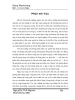 Thực trạng chiến lược đa dạng hóa sản phẩm của công ty văn phòng phẩm Hồng Hà.