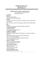 Đề thi môn Mĩ thuật 7 HKII, chuẩn kiến thức.