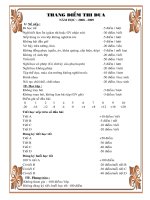 Thang điểm thi đua chi đội