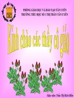 Luyện từ và câu (Lớp 5): Mở rộng vốn từ truyền thống