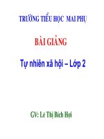 Cây sống dưới nước l2
