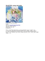 Code Mã HTML mừng sinh nhật