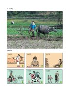 Bộ sưu tập tranh tiếng anh 10