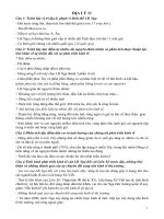 ĐỀ CƯƠNG ĐỊA 11-HKII