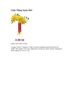 Code Chuc Mung Xuan Moi