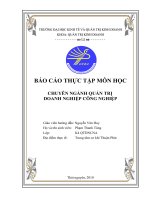 luận văn quản trị chiến lược Nội dung về phân tích dự và quản lý dự án