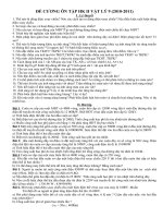 đề cương thi học kì 2 năm 2011