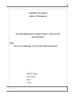 How does the philosophy of Government affect public policy?