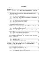 tóm tắt luận văn thạc sĩ Những giải pháp mở rộng thị trường tiêu thụ sản phẩm của Công ty cổ phần sữa Việt Nam