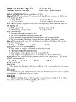 DE LY 8 KII 2010-2011