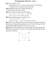 Bồi dưỡng HSG  lớp 4