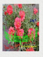 tuần 14 vẽ trang tria đường diềm ở đồ vật