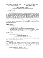 Đề thi HSG văn 9 huyện Lương Sơn (2010-2011).