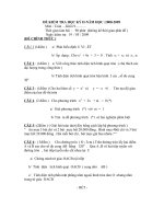 De thi HKII mon Toan khoi 9.doc