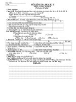 DỀ KIEM TRA KII LOP 6