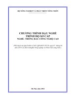 chương trình dạy nghề trồng rau công nghệ cao