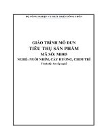MĐ05  giáo trình tiêu thụ sản phẩm