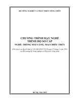 Chương trình dạy nghề  mai vàng, mai chiếu thủy