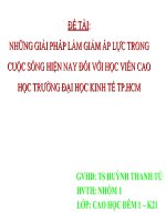 NHỮNG GIẢI PHÁP LÀM GIẢM ÁP LỰC TRONG CUỘC SỐNG HIỆN NAY ĐỐI VỚI HỌC VIÊN CAO HỌC TRƯỜNG ĐẠI HỌC KINH TẾ TP.HCM