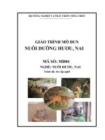 giáo trình nuôi dưỡng hươu nai