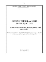 Chương trình dạy nghề trồng hoa huệ, lay ơn, đồng tiền, hồng môn