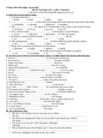 ĐỀ ÔN TẬP HK 2. LOP 9. BRVT