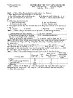 Đề thi công nghệ 8 học kì 2