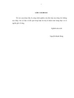 LUẬN án TIẾN sĩ chiến lược sản xuất kinh doanh cho doanh nghiệp vận tải