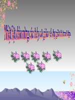 Chị Ong nâu và em bé