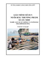 Giao trinh MD 05   nuôi hàu thương phẩm