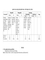 Đề thi HSG lớp 4 cấp trường năm học 2010 - 2011(có đáp án)