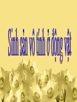 Sinh sản vô tính ở động vật - sinh học 11