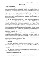 sang kien kin nghiem - cong tac chu nhiem - Tran Trang