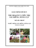 giáo trình mô đun thu hoạch và tiêu thụ sầu riêng