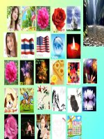 Hình động làm bài giảng