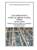 Giao trinh MD 04  ương ấu trùng và hàu giống thái bình dương
