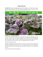 vị thuốc quý cho sức khỏe