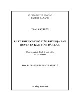 Phát triển cây hồ tiêu trên địa bàn Huyện EA KAR, Tỉnh ĐăK LăK