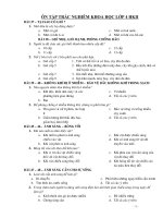 ôN TRẮC NGHIỆM HK2 NH2010-2011