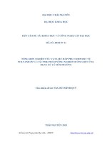 Tổng hợp, nghiên cứu vật liệu hấp phụ compozit từ polyanilin và các phụ phẩm nông nghiệp hướng đến ứng dụng xử lý môi trường