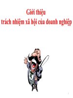 Bài giảng môn đạo đức kinh doanh Giới thiệu trách nhiệm xã hội của doanh nghiệp