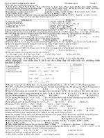 ÔN TẬP HÓA TRẮC NGHIỆM HÓA 8 KÌ II