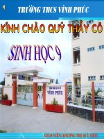 Hệ sinh thái- Sinh 9-Quế Châu