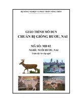 giáo trình chuẩn bị giống hươu nai