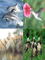 bài 18: Sinh quyển.Các nhân tố ảnh hưởng tới sự phát triển và phân bố sinh vật