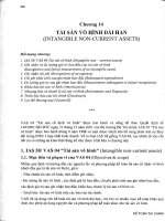 Chương 14 TÀI SẢN VÔ HÌNH DÀI HẠN (INTANGIBLE NONCURRENT ASSETS)